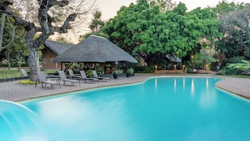 Outdoor pool, sun loungers