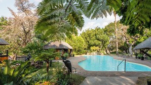 Una piscina rodeada de exuberante vegetación, con una estructura de techo de paja y sillones de descanso.