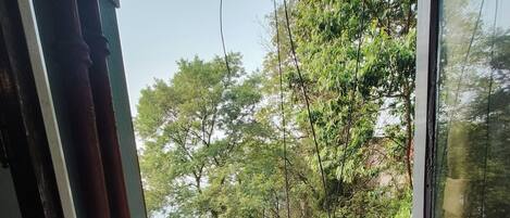 الإطلالة من المنشأة