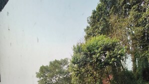A view of a lush, green landscape with dense foliage and trees. - Hotel Sakura Darjeeling (Darjeeling)