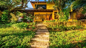 Una casa con una escalera de piedra que lleva a una terraza de madera, rodeada de exuberante vegetación y una valla de bambú.