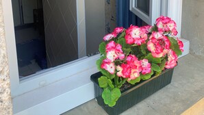 Une salle de bain avec une douche, des toilettes et un lavabo. Il y a une fenêtre avec un rideau, et un pot de fleurs avec des fleurs roses sur le rebord de la fenêtre.