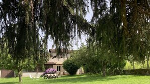 Une maison avec une pelouse, du mobilier de jardin et un grand arbre.