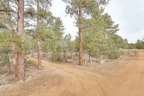 House (3 Bedrooms) | Interior - 18 Mi to Royal Gorge: Peaceful Mtn Cabin w/ Porch! (Cotopaxi)