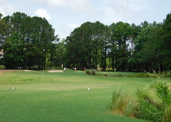 A golf course with a well-maintained green, sand bunkers, and tall trees in the background. - North Tower #409 Pool & Intracoastal Views! (North Myrtle Beach)
