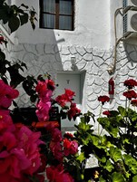 Detalle exterior