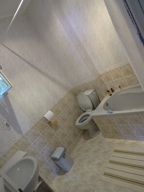 Shower, hair dryer, towels, soap - Holiday House in Dracula Land - the Carpathians (Sinaia)