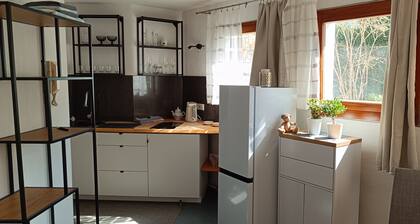 Apartment in Nagold with shower and kitchen