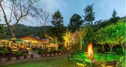 Maple Resort Chail