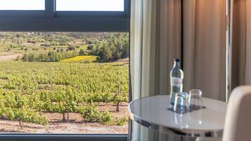 A room with a view of a vineyard through a window.
