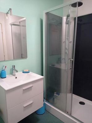 Hair dryer, towels, shampoo, toilet paper - House Bourbon-Lancy 6 persons (Bourbon-Lancy)