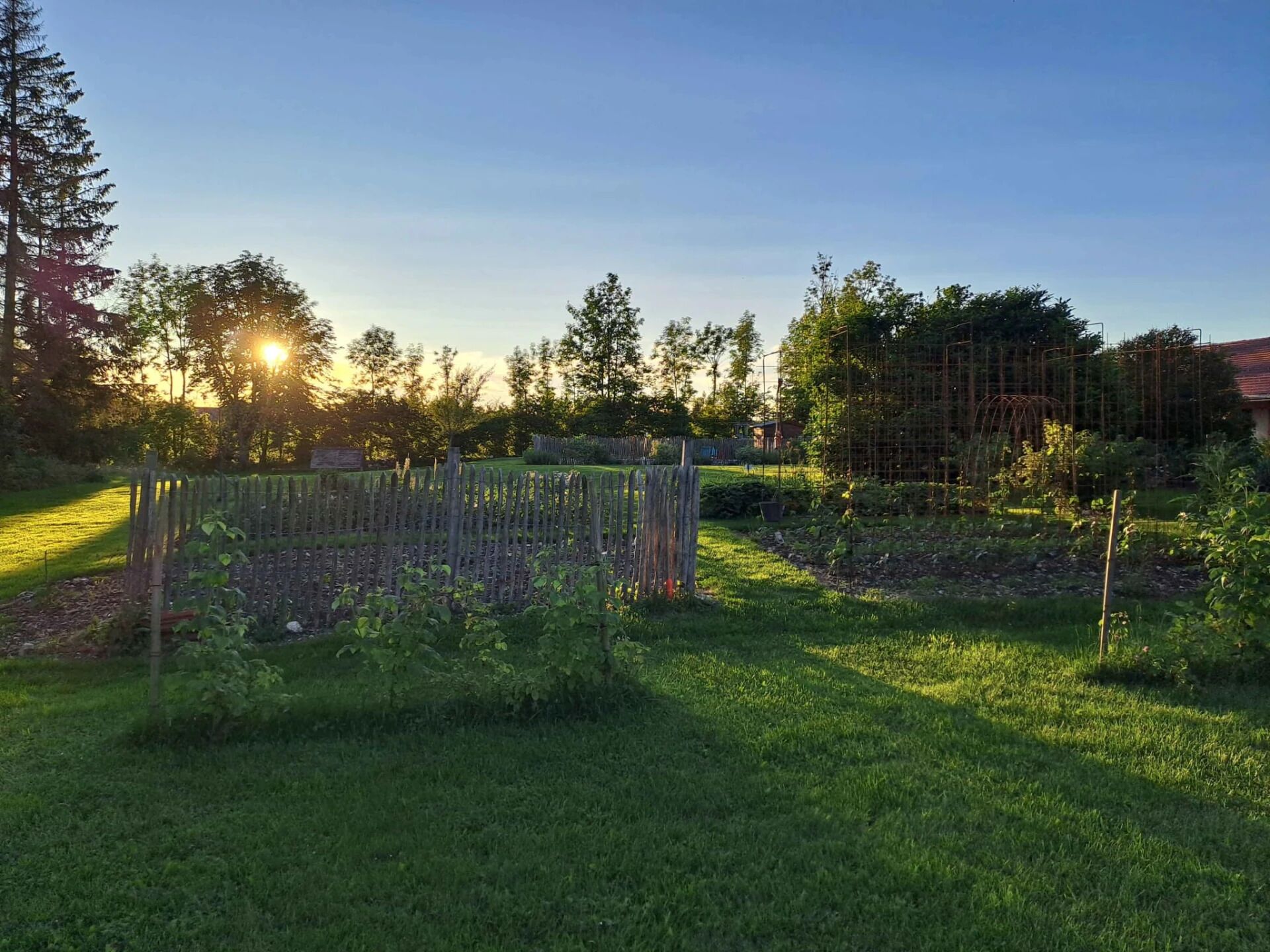 Jardin