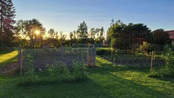 Jardin