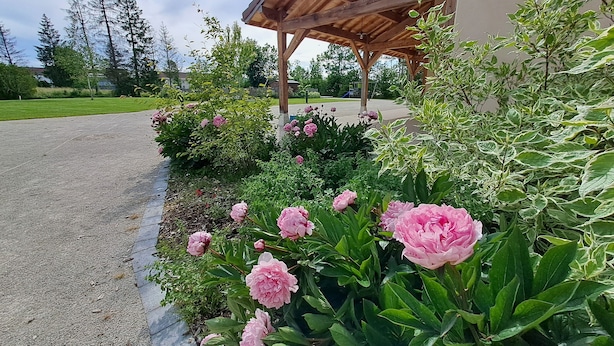 Een overdekt buitengebied met een houten constructie, omgeven door weelderige begroeiing en bloeiende planten.