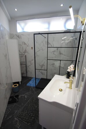 Shower, hair dryer, towels, shampoo