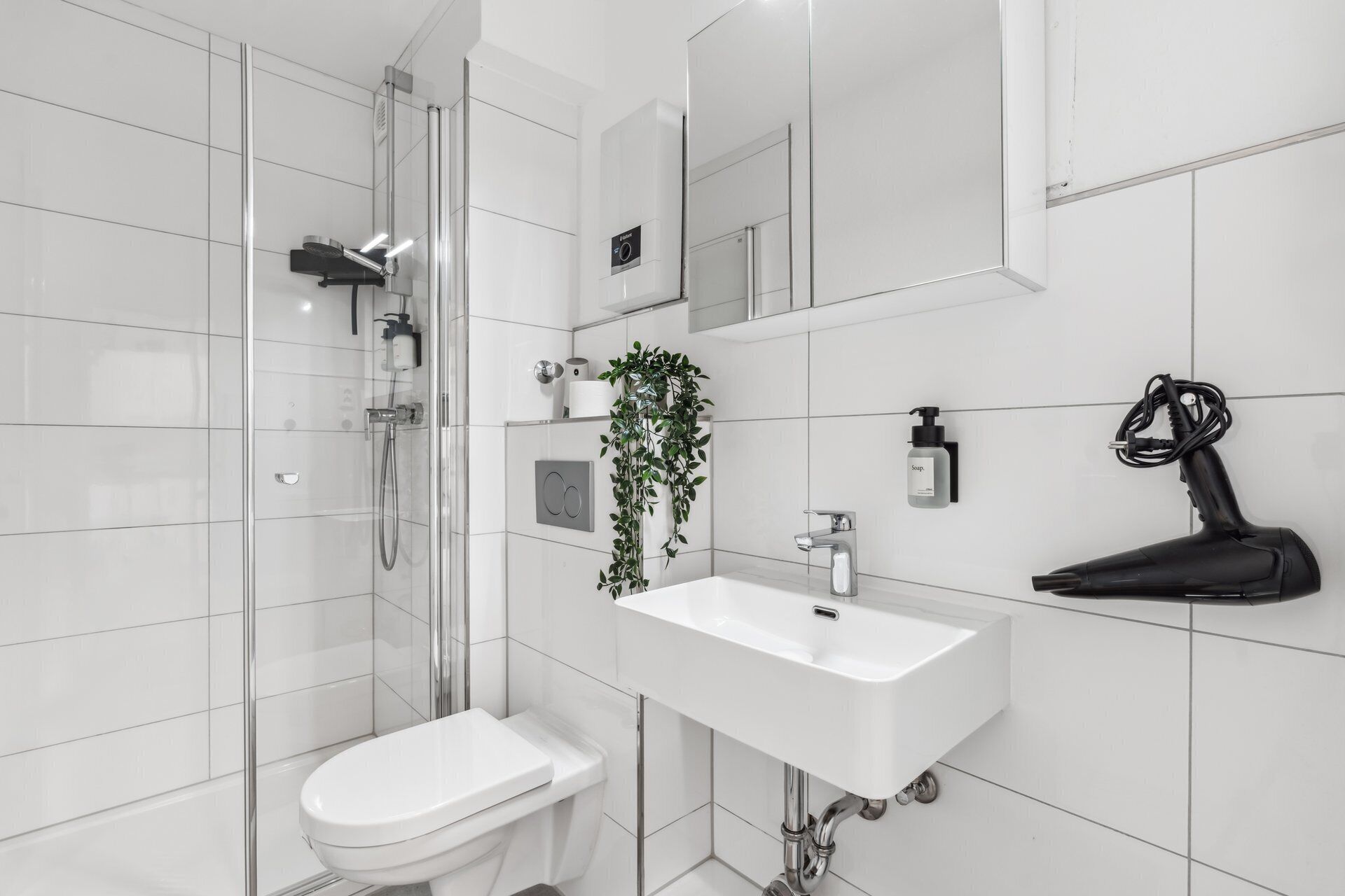 Dusche, Haartrockner, Handtücher, Seife