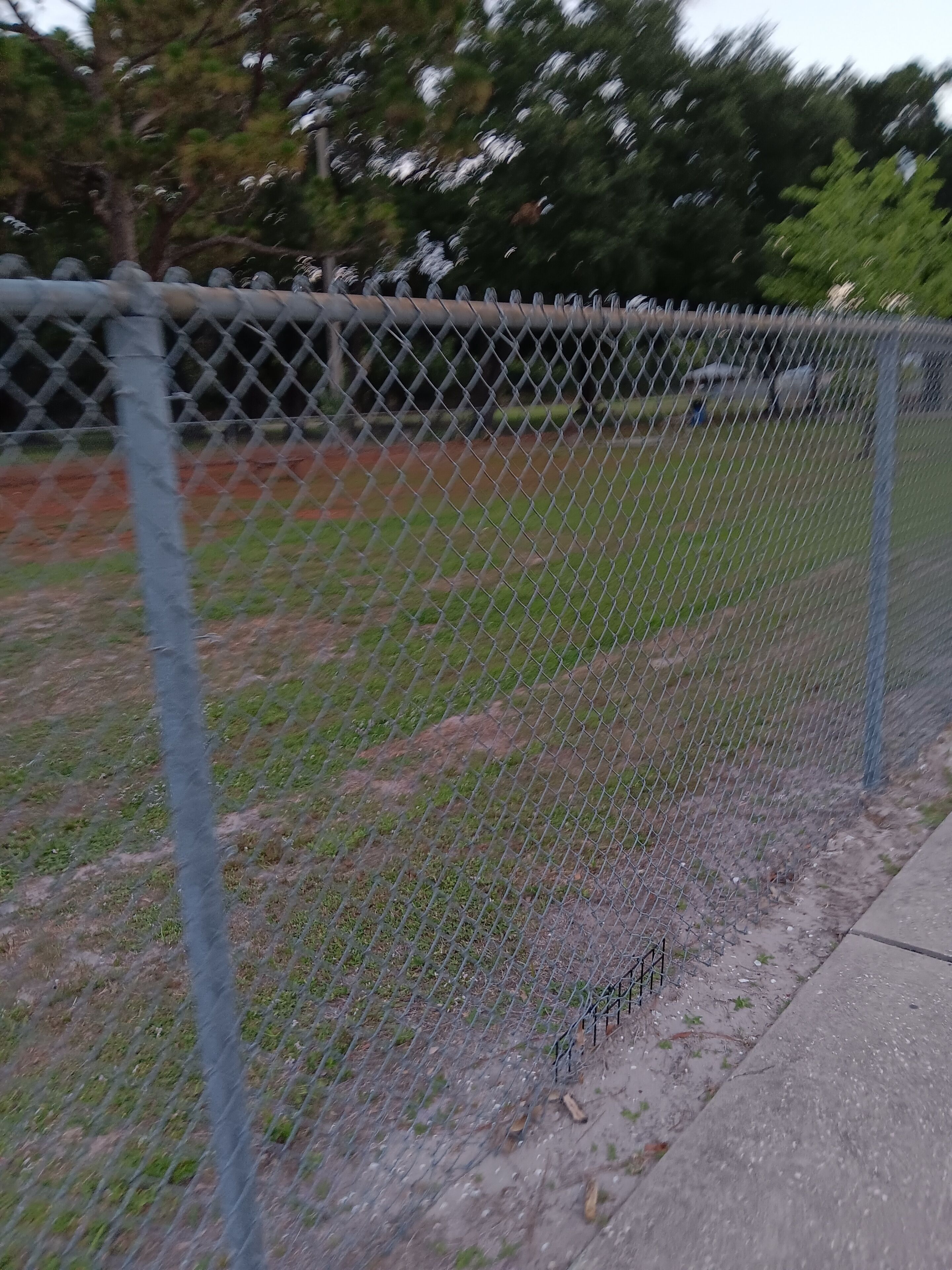 A chain-link fence with a concrete base, a grassy area, and trees in the background.