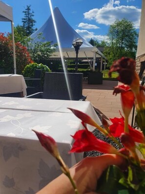 Outdoor dining - Au Wingenerhof (Wingen-sur-Moder)