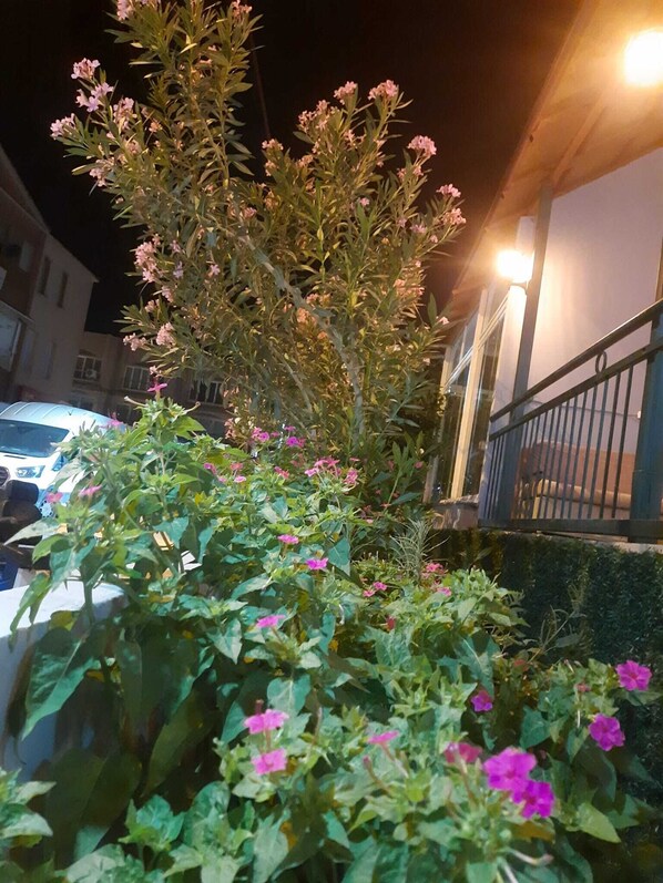 A night scene with a street lamp illuminating a garden with pink flowers and a white car parked nearby. - Cesme MASAL (Cesme)