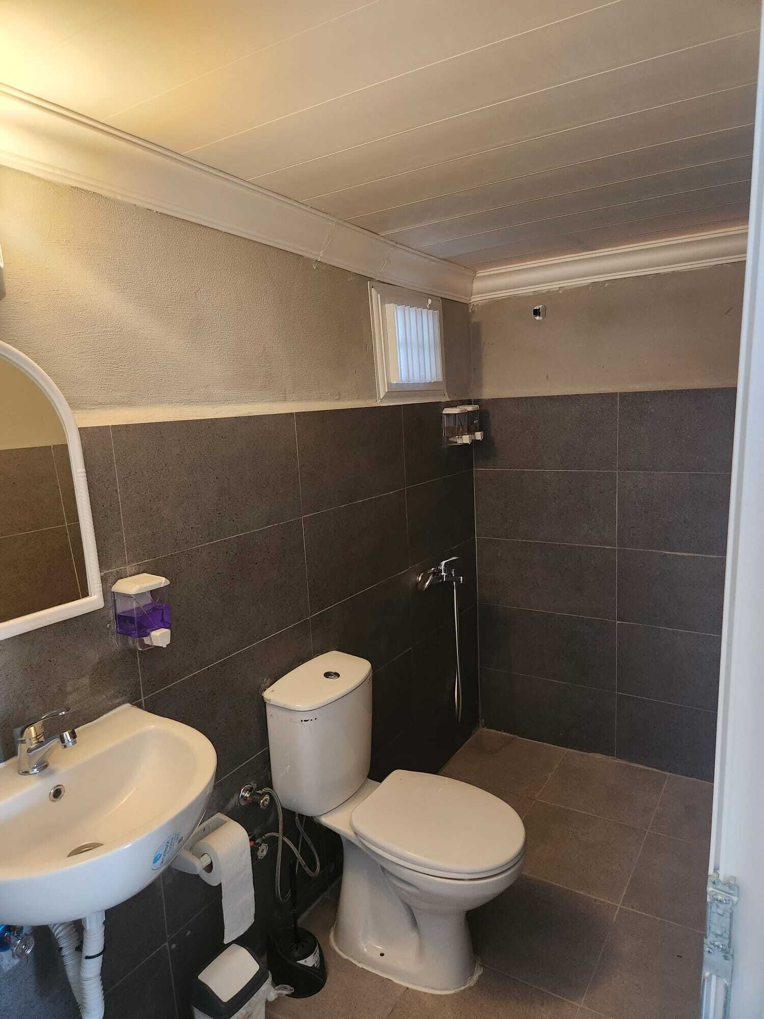 Ein Badezimmer mit Toilette, Waschbecken und Dusche.
