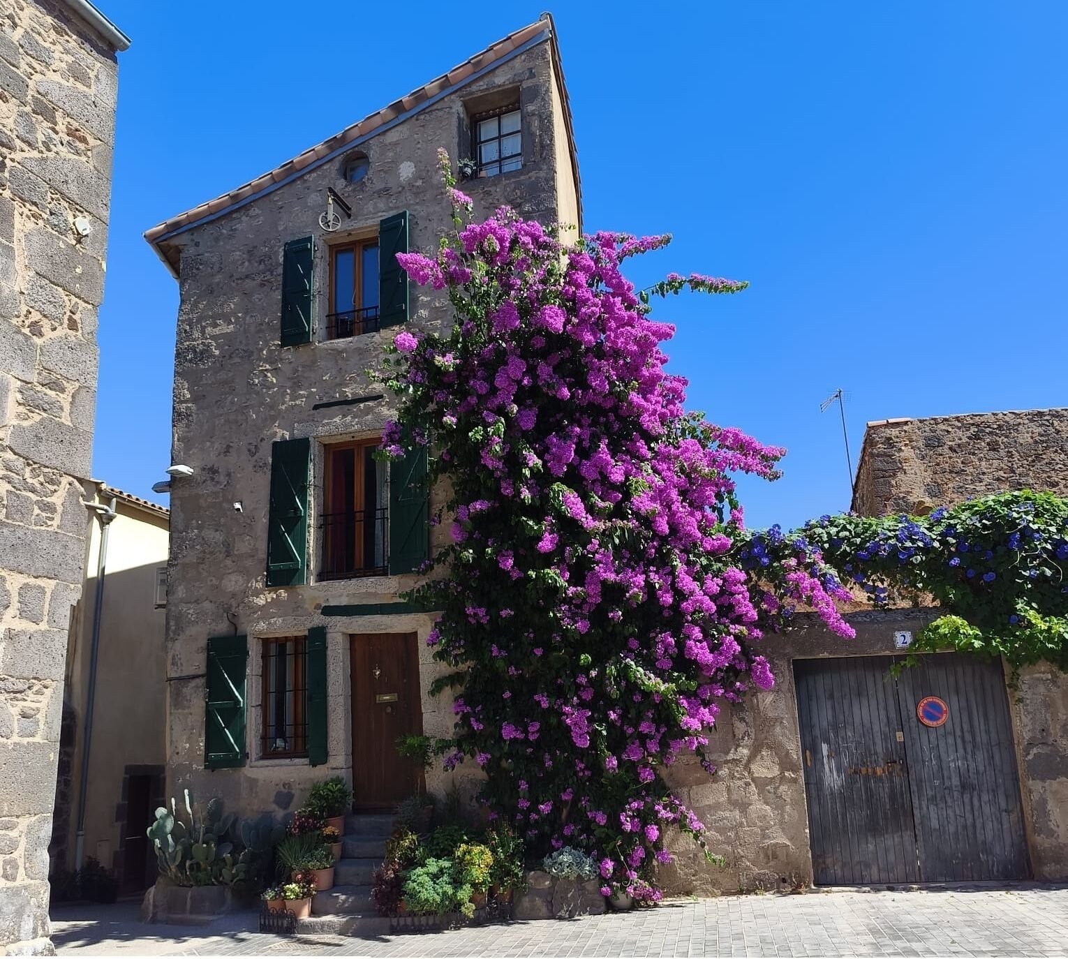 Un bâtiment en pierre avec une porte en bois et des volets verts, entouré de plantes en pot et de fleurs violettes.