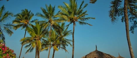 Plage, sable blanc