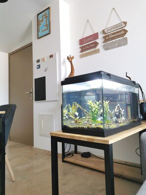 Interior - T2 apartment at the foot of the Luberon (Sannes)