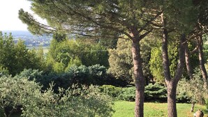 A paved pathway through a landscaped garden with various trees and shrubs. - The tranquility of the Umbrian countryside a stone's throw from the center of Perugia (Umbria)