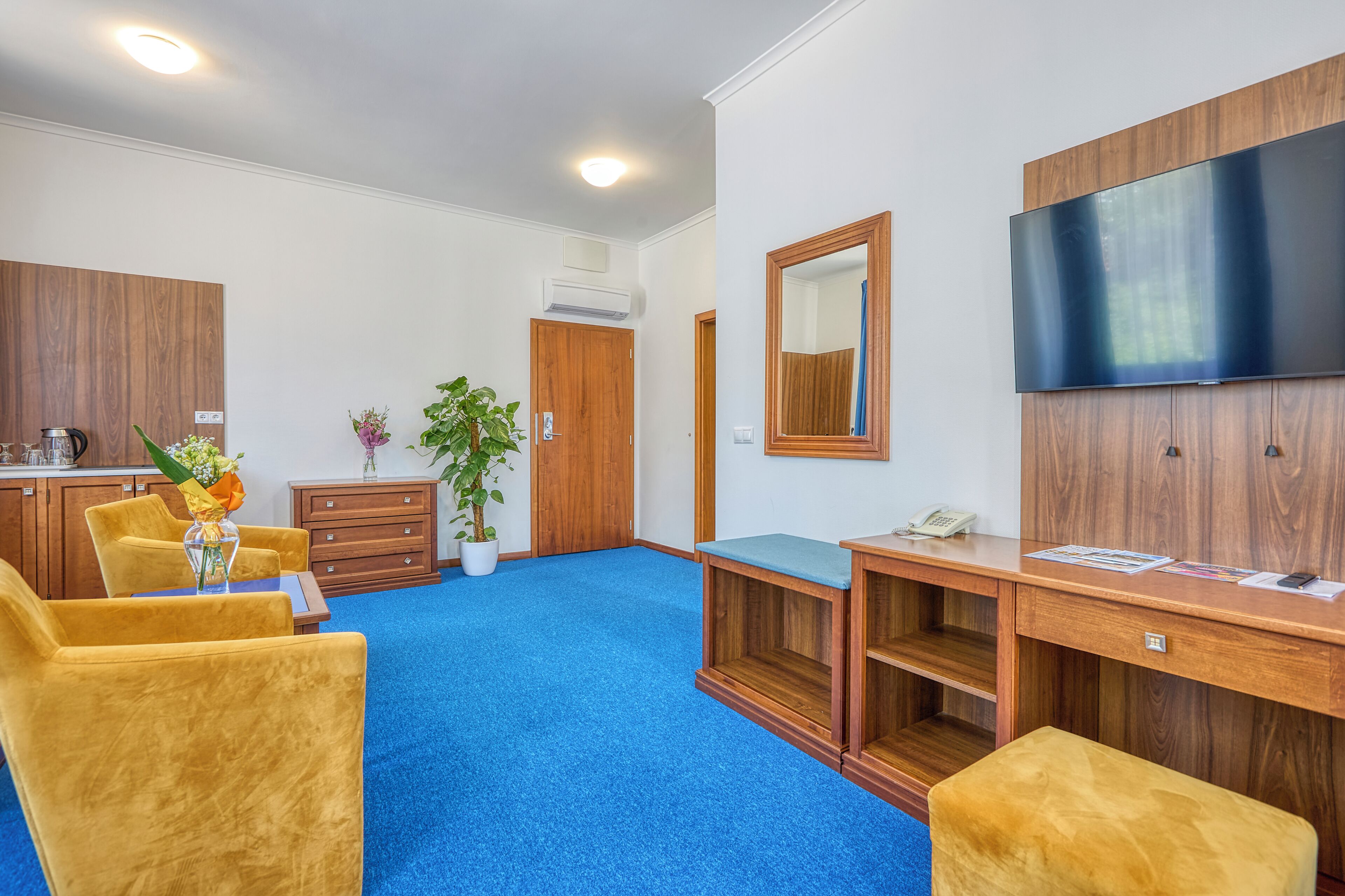 Habitación de hotel con alfombra azul, muebles de madera, un televisor de pantalla plana, un escritorio con teléfono y una planta en maceta.
