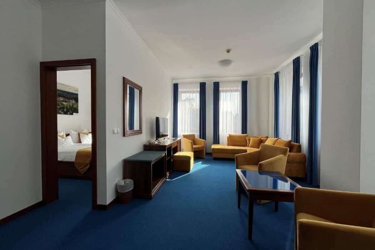 A hotel room with a blue carpet, two sofas, a coffee table, a TV, and a mirror.
