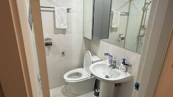 Chuveiro, secador de cabelo, toalhas de banho, sabonete