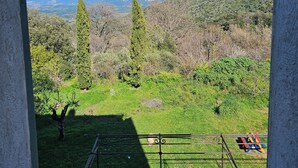 A view from a window overlooking a green landscape with trees and mountains in the distance. - Master bedroom with living room (Rapale)