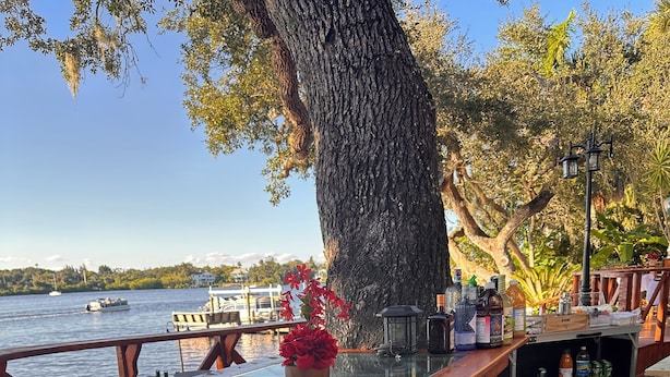 A wooden deck with a bar area featuring stools, a glass-top table, and a large tree trunk as a central support. - Pellicanus House. Waterfront Paradise+Pool+Hot Tub+ Kayaks Adventure! (Palm Bay)
