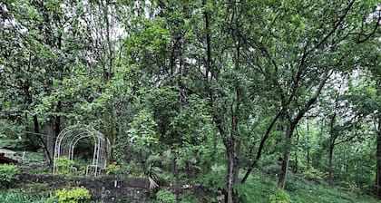 Charming 2-bedroom Victorian Cottage house in downtown Hot Springs