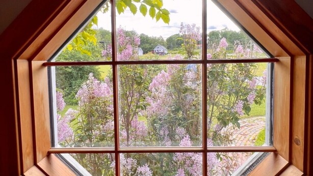 A skylight window with a view of blooming trees and a distant house. - Modern Lakeside Home (Glenburn)