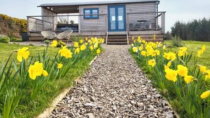 A wooden house with a blue door, a covered porch, and a gravel path leading to it.