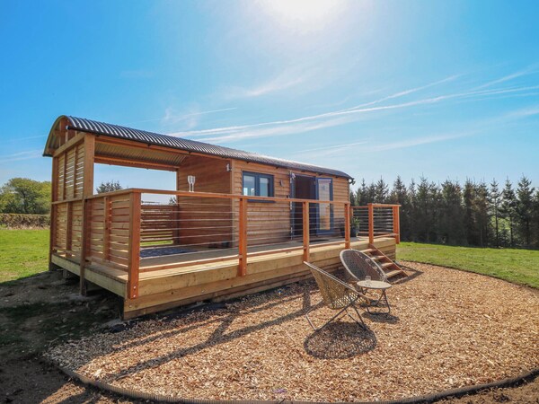 Fir Tree Shepherd's Hut - Ceredigion