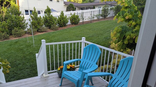 A wooden deck with two blue Adirondack chairs and a potted plant with yellow flowers. - Charming studio in lovely Charlotte with WiFi, AC (Charlotte)
