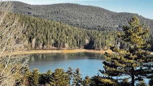 A lake surrounded by dense forest and a hill in the background. - Tranquil apartment in Caprara with stunning views (Caprara)