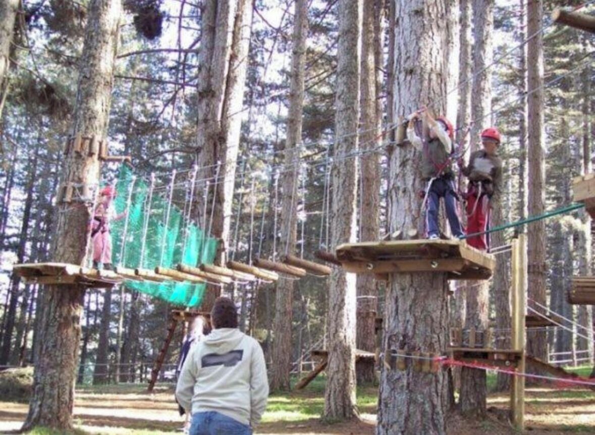 A forested area with rope bridges and wooden platforms.