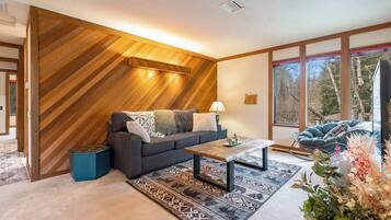 Televisión y chimenea