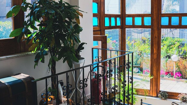 Een balkon met een hekwerk, planten in potten en uitzicht op een tuin.
