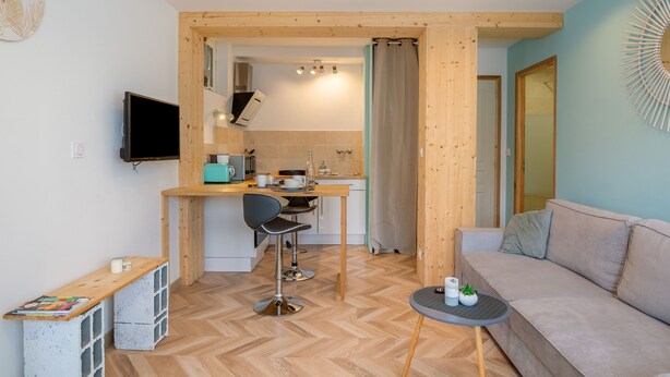 A compact living space with a kitchenette, a dining area, a sofa, and a small table with a plant.