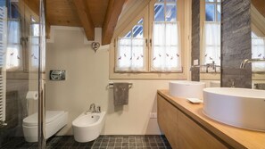 Shower, hair dryer, bidet, towels