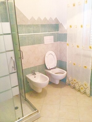 Shower, hair dryer, bidet, soap - APARTMENT WITH SEA VIEW TERRACE (Tanaunella)