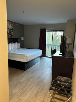 Standard Single Room, 1 King Bed | Desk, laptop workspace, blackout drapes, iron/ironing board - Park Inn (Colchester)