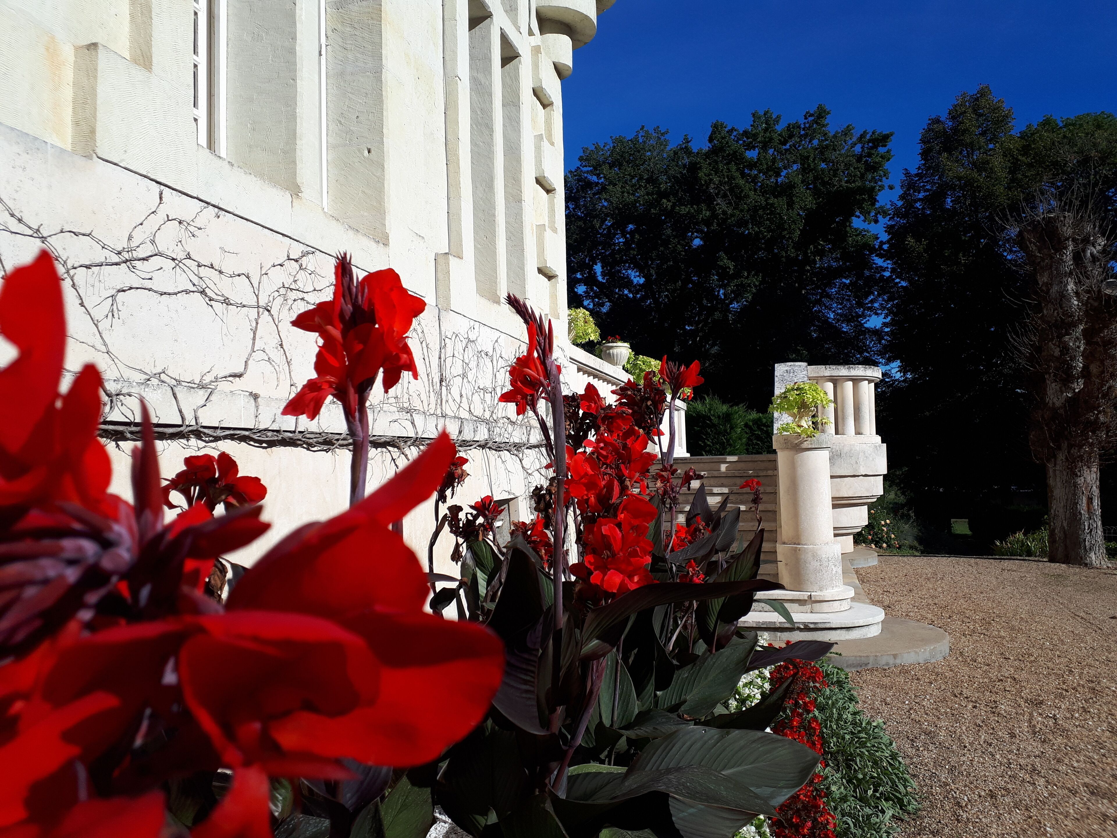 Ein Gebäude mit heller Fassade und einem Gartenbereich mit roten Blüten und einer Steinsäule.