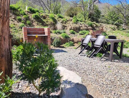 Área de parrillas y picnic