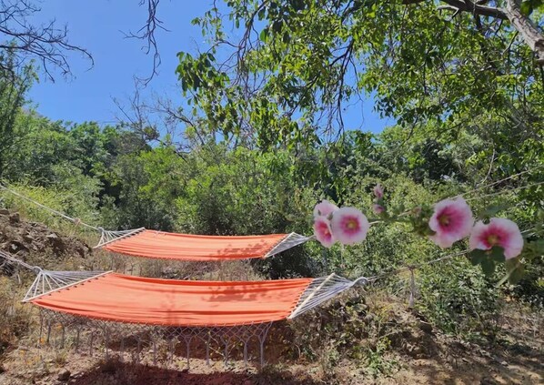 Dos hamacas atadas a un árbol en un entorno natural con follaje denso y flores rosadas al fondo.