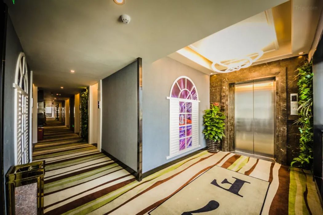 A hotel lobby with a striped carpet, an elevator, and a wall-mounted plant.